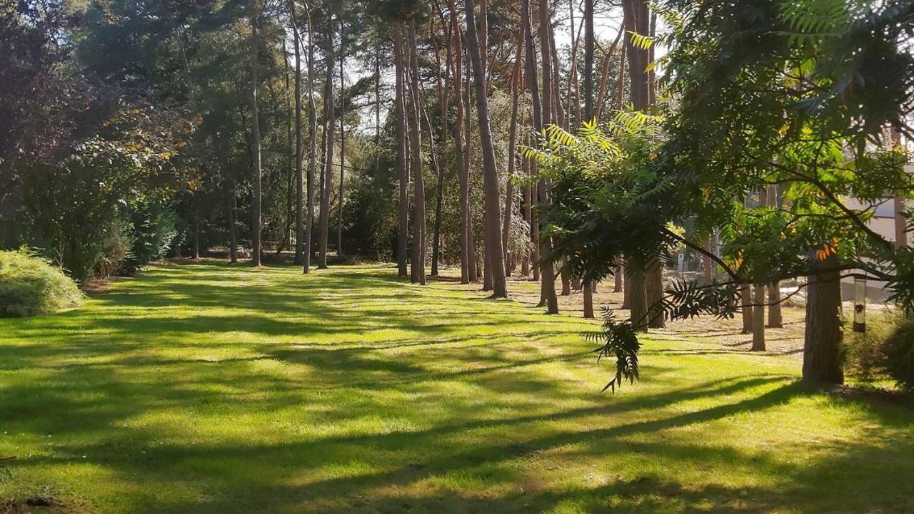 La Maison De Lise Ville-Pommeroeul Eksteriør bilde